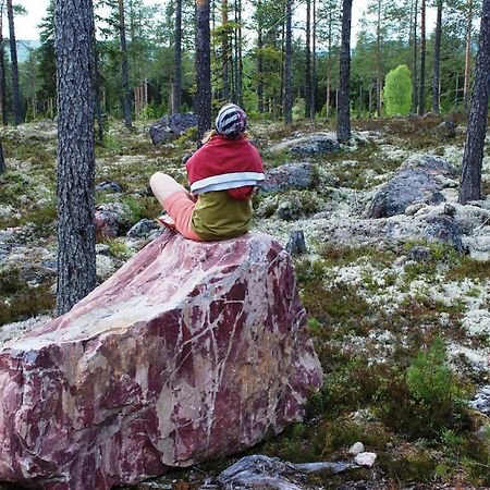 12 - Fulufjellets Nasjonalparker - Natur-, Dyre- Og Fugleopplevelser Ljørdal Exterior foto