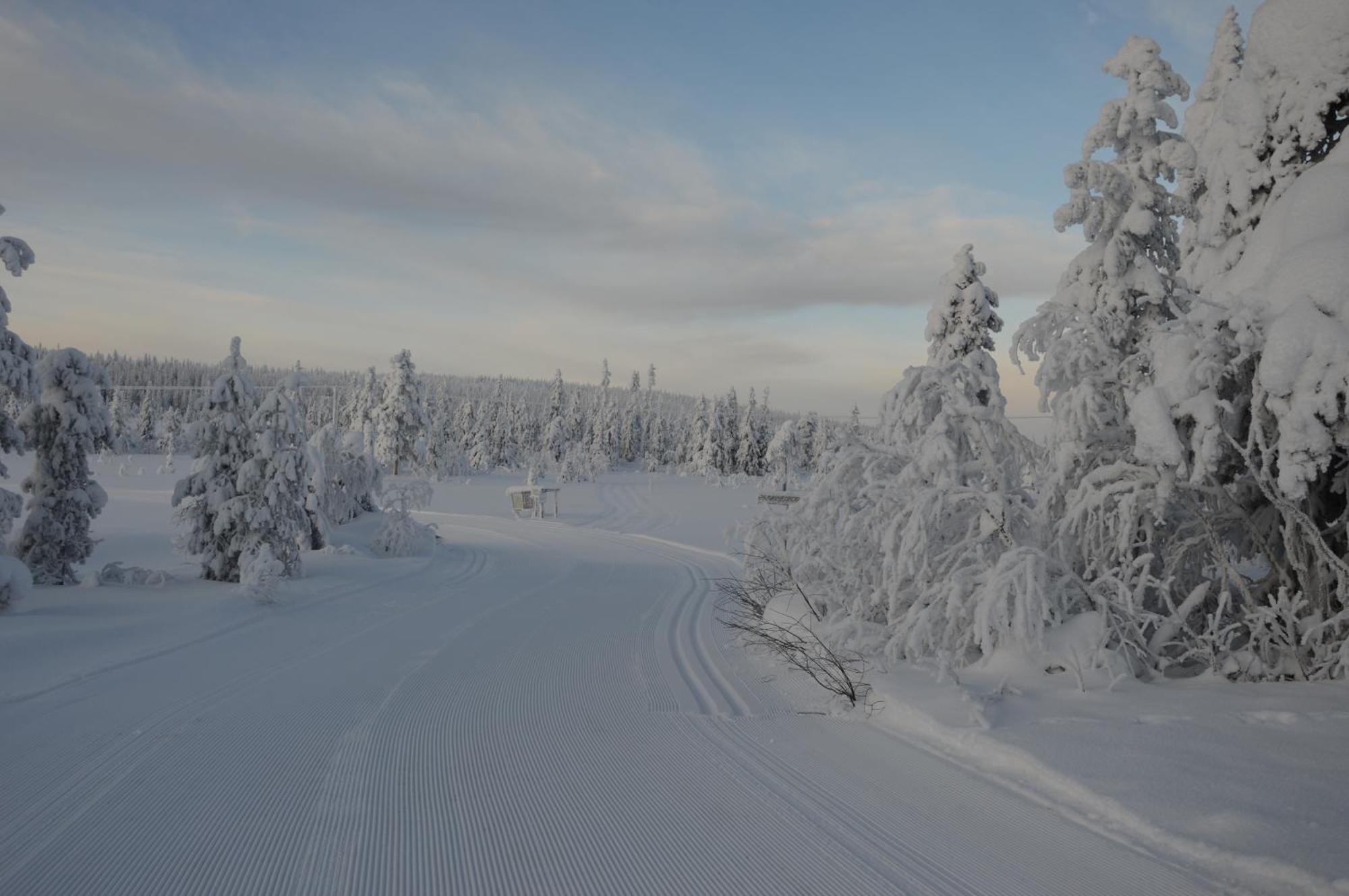 12 - Fulufjellets Nasjonalparker - Natur-, Dyre- Og Fugleopplevelser Ljørdal Exterior foto