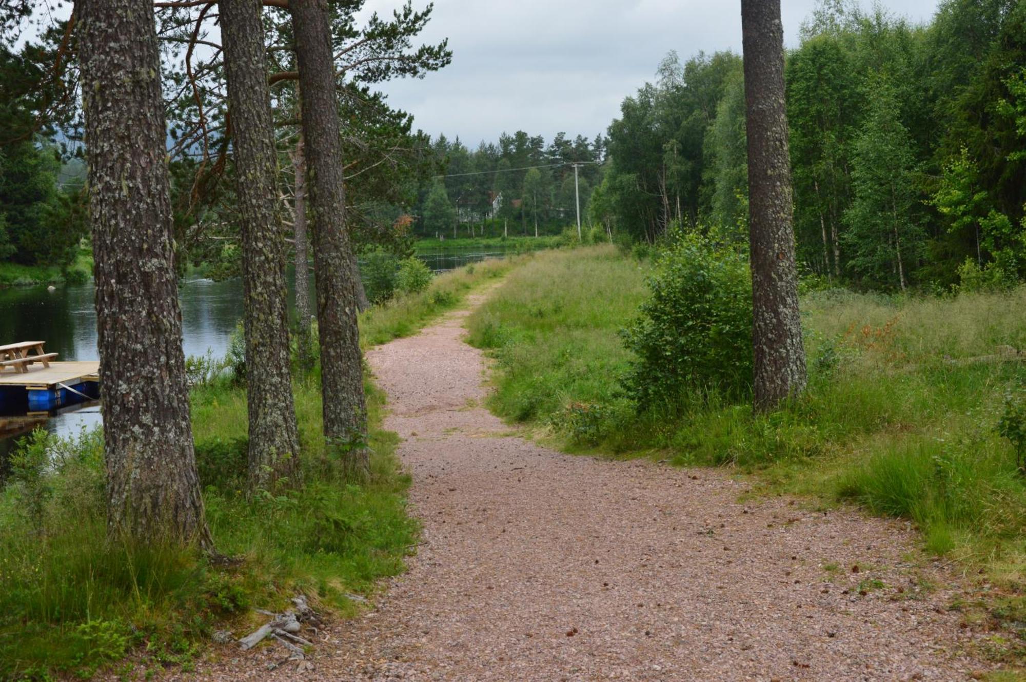 12 - Fulufjellets Nasjonalparker - Natur-, Dyre- Og Fugleopplevelser Ljørdal Exterior foto