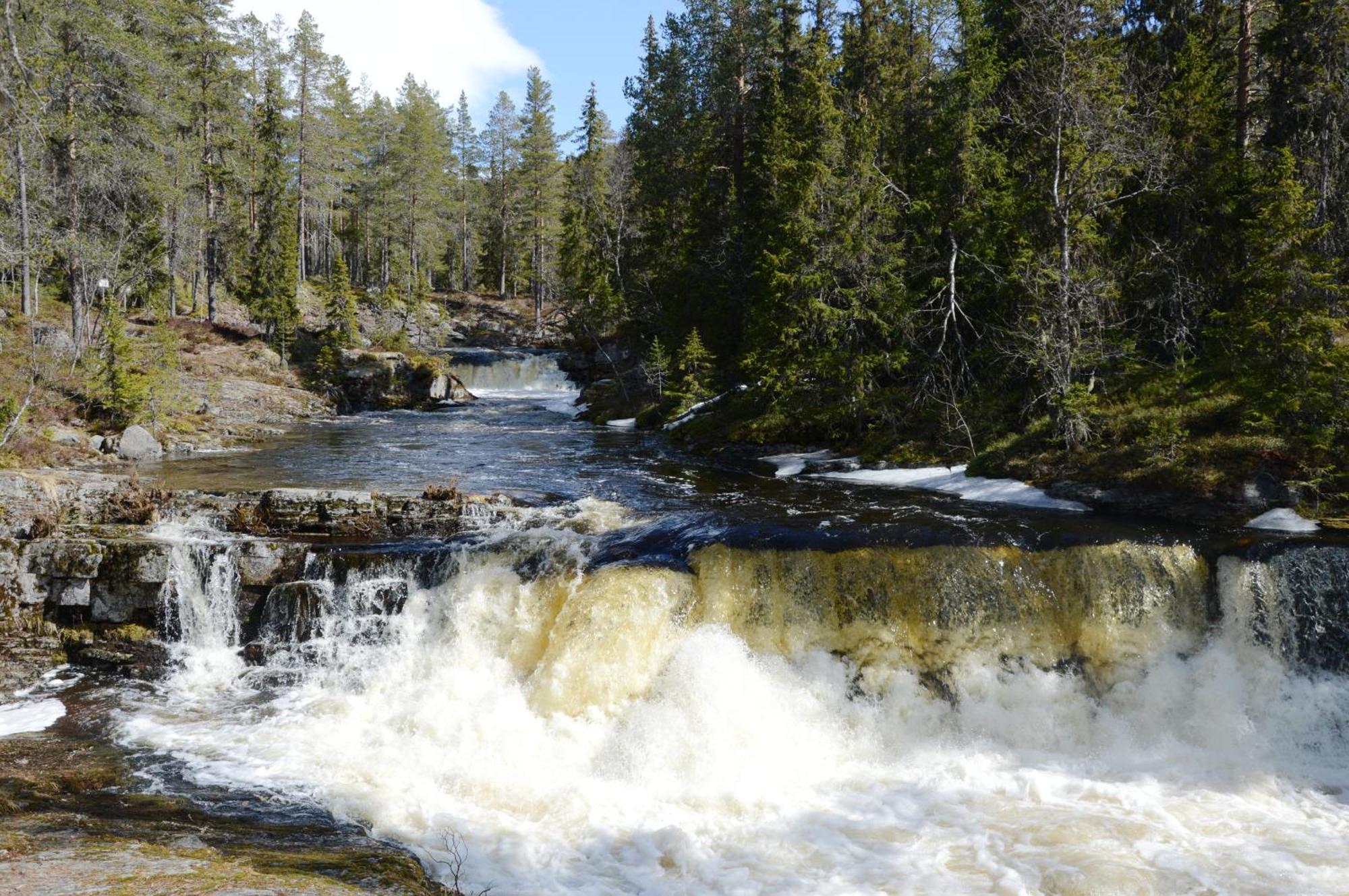 12 - Fulufjellets Nasjonalparker - Natur-, Dyre- Og Fugleopplevelser Ljørdal Exterior foto